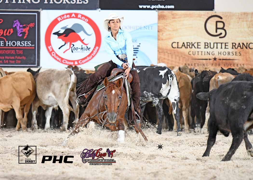 PHorseCentral's tweet photo. Leader of the #PCCHA #Badboonarising #WOWSeries Non Pro 1st Go was Mia Webster riding Mamas Primadona (Dual Smart Rey x Donas Cool Cat) owned by #ClarkeButteRanch A 218.5 or better was required to advance to the finals. #scootemnshootemphotography #holycowperformancehorses https://t.co/uHra5IRhet