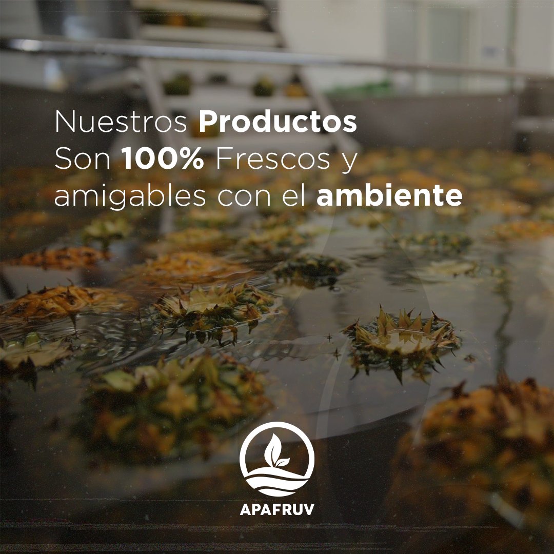 apafruv's tweet photo. La agricultura sostenible debe garantizar la seguridad alimentaria mundial y al mismo tiempo promover ecosistemas saludables y apoyar la gestión sostenible de la tierra, el agua y los recursos naturales.🍍🌱��♻️

En #APAFRUV 🌱estamos comprometidos con el medio ambiente. https://t.co/RIVLH9NGHg