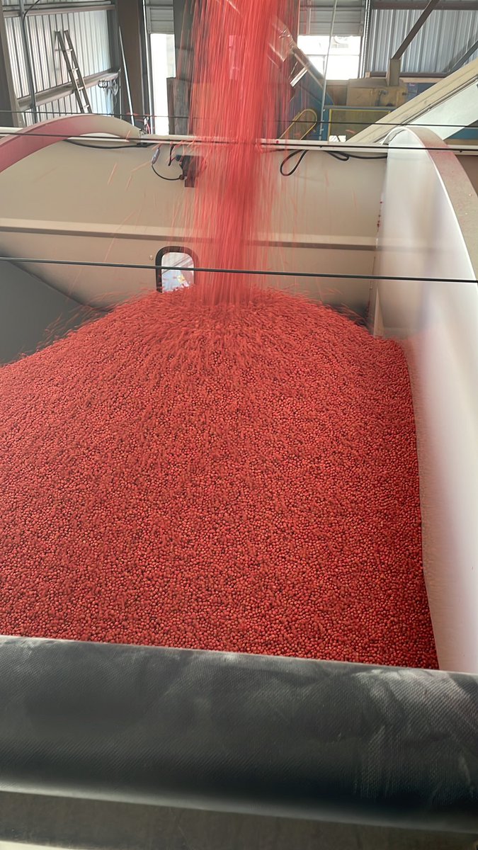 Andrewlee1814's tweet image. Treating double crop soybean. It’s fun when it’s your own treater and in house #asgrow AG46XF2