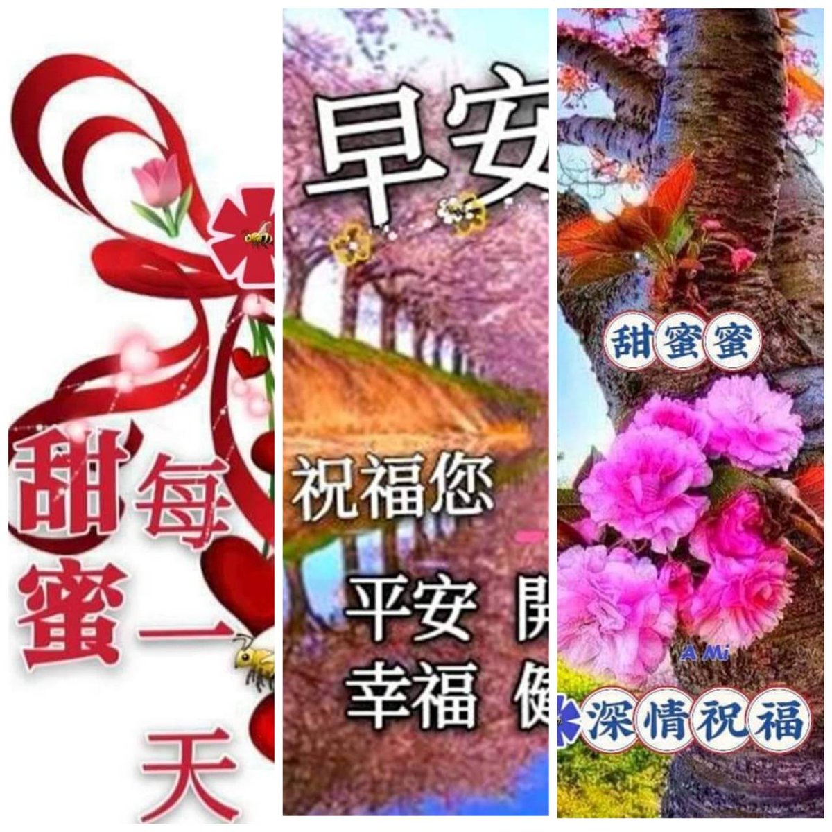 RgenTw's tweet photo. 祝福哥們  618  6  溜ㄧ把  溜 
週六愉快  閤家健康 平安 https://t.co/NvhjJWNjy3