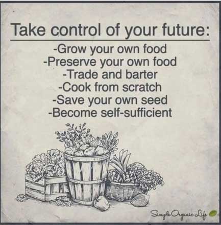OrganicLiveFood's tweet photo. Be A Rebel, Grow Your Own Food

🍊     🍐    🍇     🍉     🍑     🍍     🥥     🥝     🥑    🍎     🍋    🍓    🍒    🥭     🫐 https://t.co/ZSujHmazBe