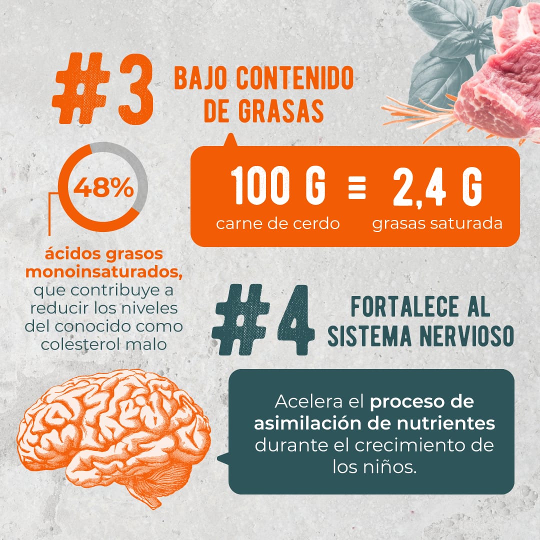 apporsafe's tweet photo. Segunda entrega de beneficios de la carne porcina! La campaña de promoción 2022 sigue con más contenidos para que compartan. https://t.co/3huLQ4Dt7P