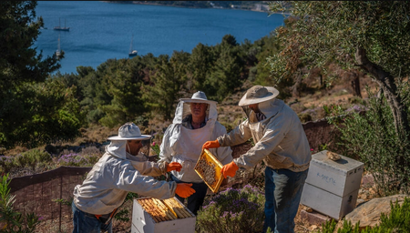 NBCOT's tweet photo. OTs use #beekeeping to help individuals living with mental illness on Greece's Leros island 🐝https://t.co/dbOou70N5K #OTsaroundtheworld #FridayFeeling #MentalHealth #Therapy #OTR #COTA https://t.co/3a7xtUHFsG