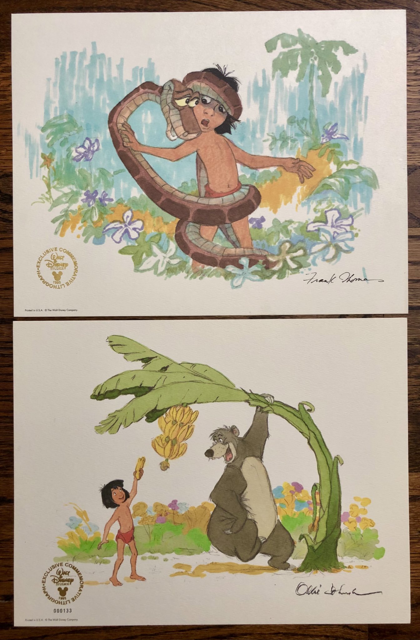 Walt Disney's The Jungle Book: Making a Masterpiece [Walt Disney Family Museum] [Book]