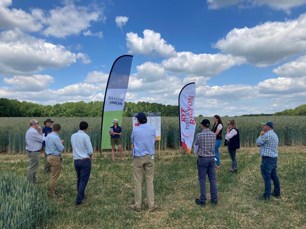 Jack Holgate (@jackholgate18) on Twitter photo Well that’s a wrap! A great week seeing & catching up with all our visitors at the open day trials this week! <a href="/Elsomsseeds/">Elsoms Seeds</a> <a href="/SaatenUk/">Saaten Union UK</a> the A team 😎 Well that’s a wrap! A great week seeing & catching up with all our visitors at the open day trials this week! <a href="/Elsomsseeds/">Elsoms Seeds</a> <a href="/SaatenUk/">Saaten Union UK</a> the A team 😎