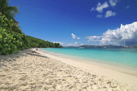 StJohnVacay's tweet photo. Sale 20% off New Sugarbird Villa - https://t.co/Fa8QGs44Lv https://t.co/UvqLfOVNsw
