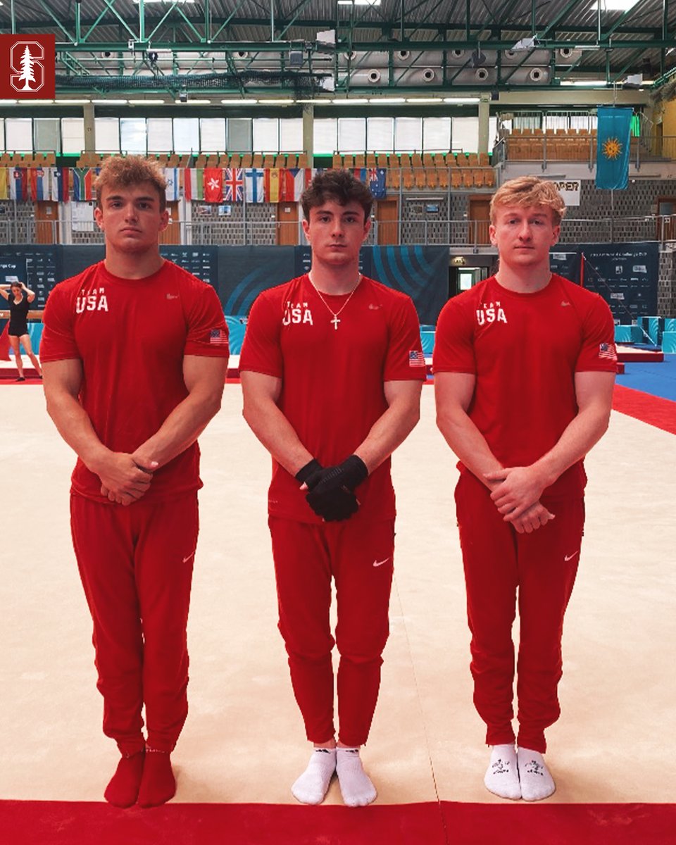 Stanford Gymnastics tweet media