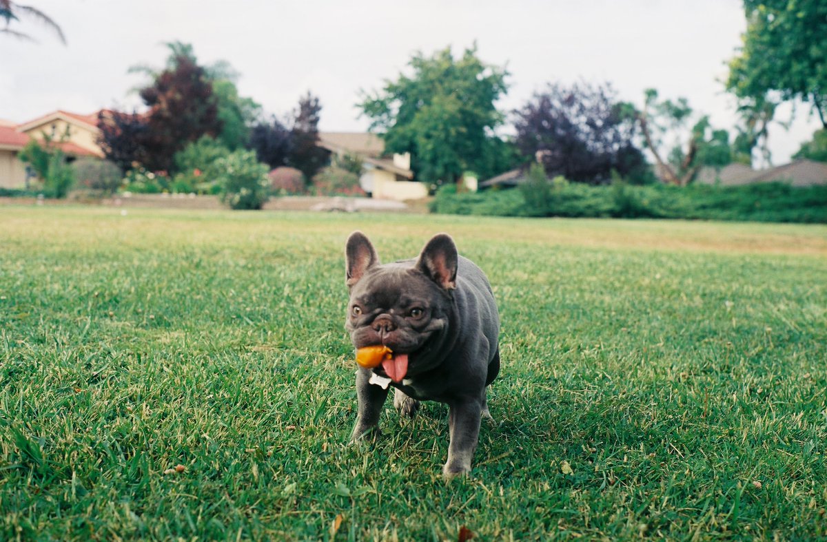 cheriegcarter's tweet photo. seems i’ve found my true calling #35mm https://t.co/eD45QM3G7a