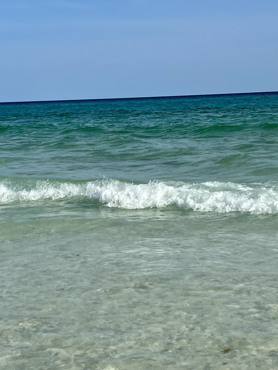 merman_dan's tweet photo. Spending a few days in Destin, FL! Swimming, snorkeling, and watching dolphins! #destinflorida #gulfcoast #floridapanhandle 🧜🏽‍♂️🌊🐬 https://t.co/Kb2qBgOQ9c