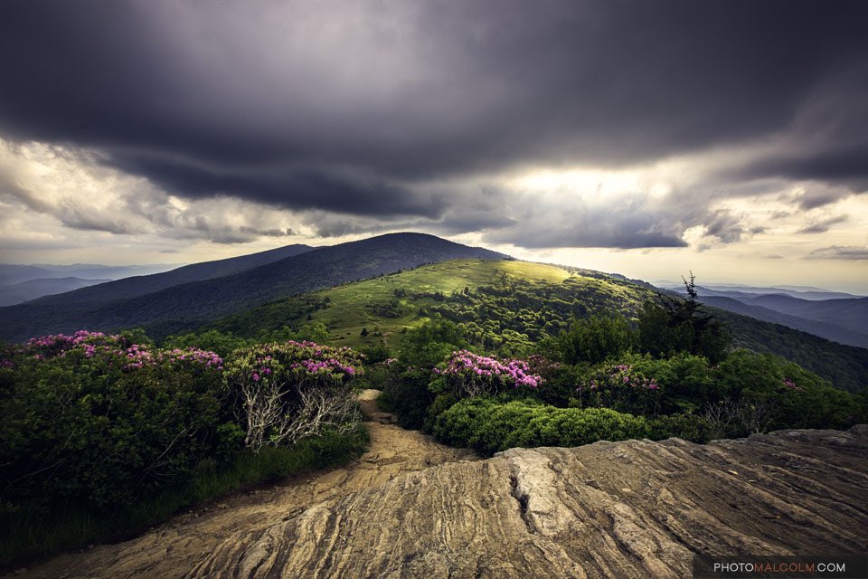 photomalcolm's tweet photo. Beautiful Light on Roan Mountain. Special thanks to a photographer named Nathan from Knoxville who let me borrow a camera battery at this moment because mine died! https://t.co/VbKGXVBjeT