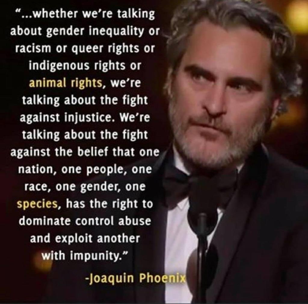 animalsbehindc2's tweet photo. Terrific quote from an outstanding actor and a deeply compassionate human being. #govegan #animalrights #endspeciesism #friendsnotfood #compassion https://t.co/nkt254QwdY
