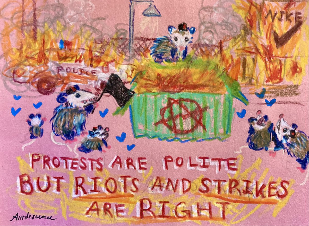 airidescence's tweet photo. Day 14 🔥🏴 of anarchism and opossums https://t.co/I4HEGFhdsQ