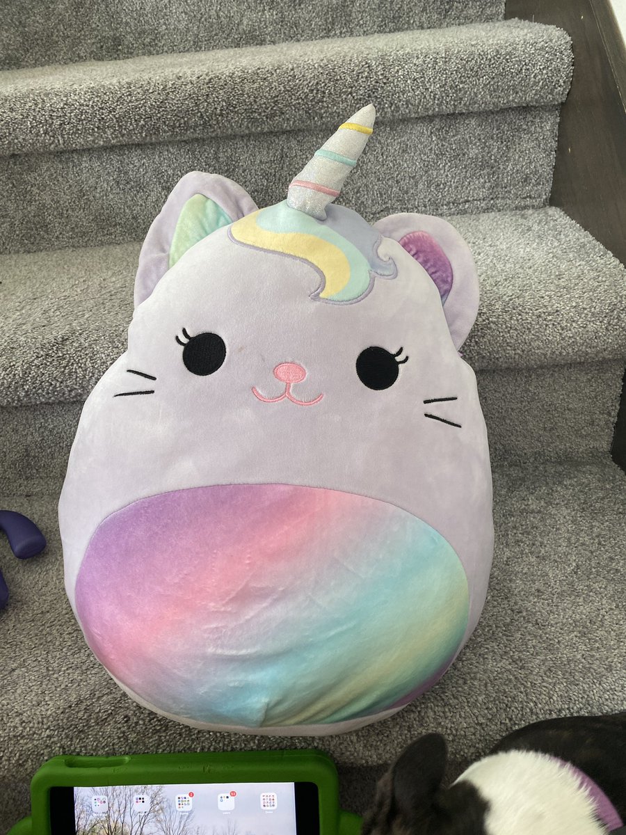 cheekmw16's tweet photo. When your baby girl asks for a 🎂 of her fav Squishmallows pillow…you do your best & whip something up👨🍳. Sure, the eyes may be too big. The 🌈 tummy could look better, and yea those are round ears, not pointed. But the look on her face makes it all worth it! 🤩🥳 #turning4 #HBD https://t.co/C5hUoEAuUG