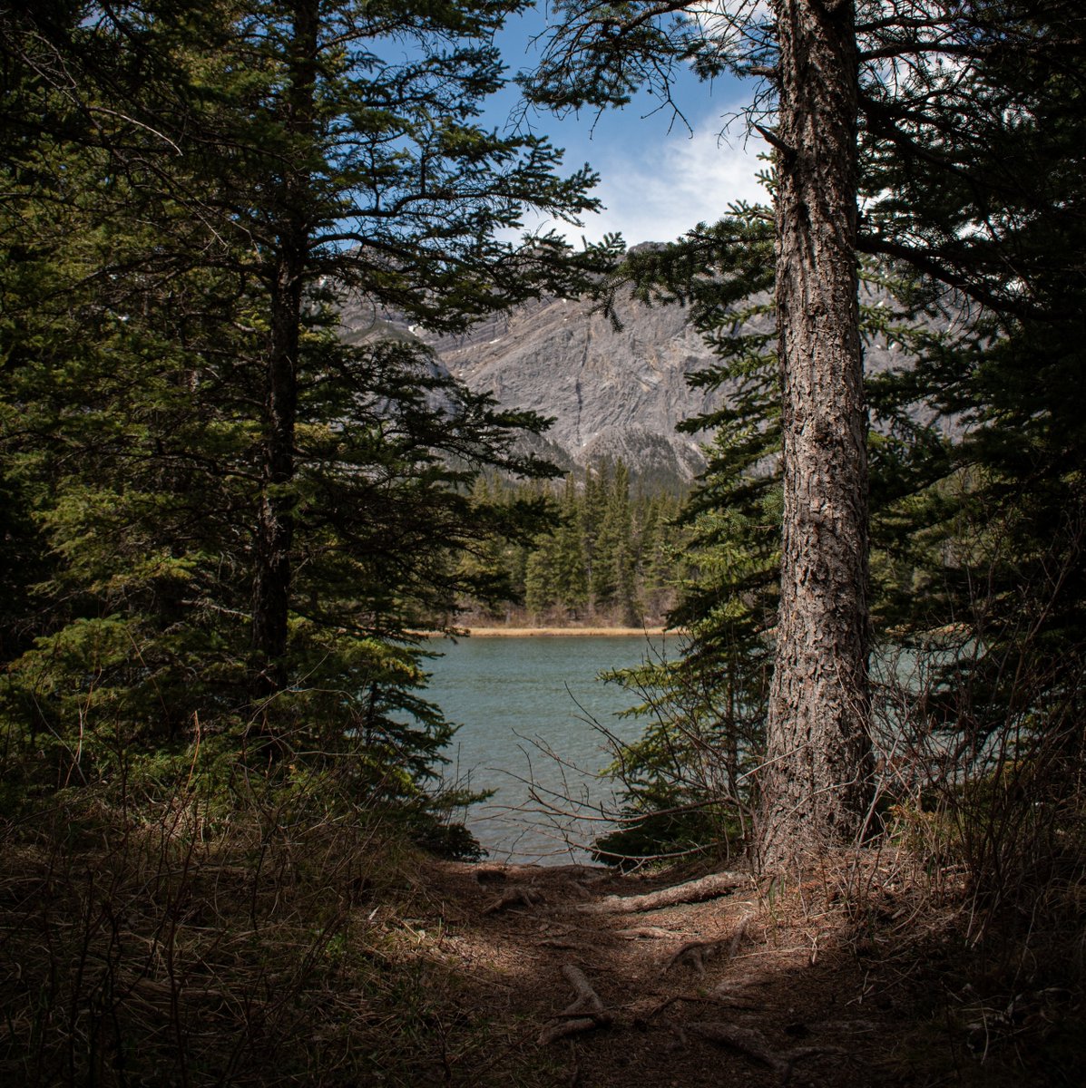 Let's make some memories with all the special fathers and father figures in our lives this weekend! Rawson Lake Trail ascends through the forest to end with a spectacular view of an alpine lake and is suitable for all skill levels.