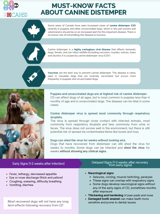 CahssCanada's tweet photo. We recently made a new infographic on #canine #distemper (CD) in collaboration with @OntAnHealthNet, @weese_scott and several other subject matter experts. Infographic link is here: https://t.co/DFx7oIbTbk https://t.co/tvaDXLxsJe