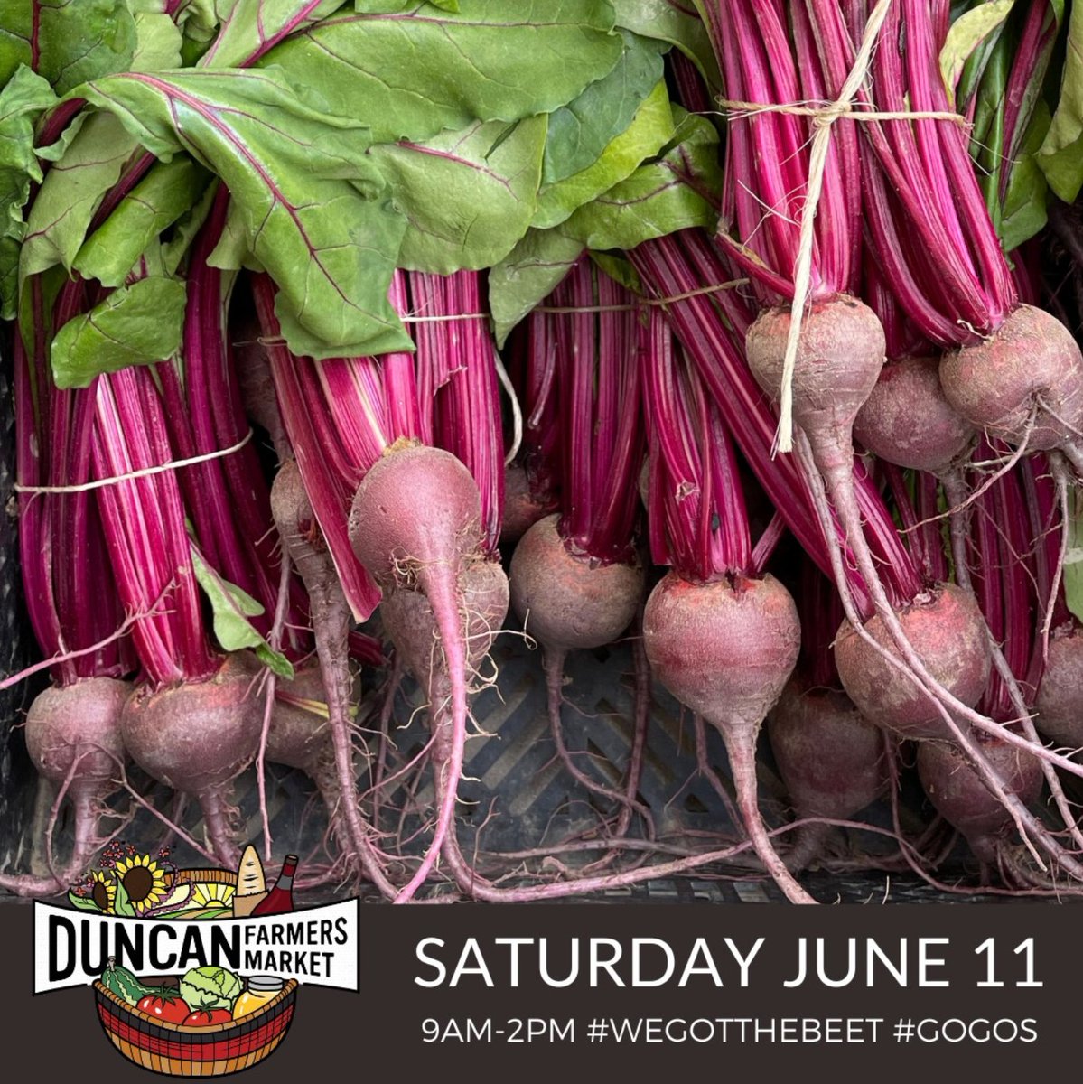 BellstarResorts's tweet photo. 5 Farmers' Markets on Vancouver Island that are worth the day trip!

👉 Qualicum Beach Farmer's Market
👉 Duncan Farmer's Market
👉 Errington Farmers' Market
👉 Spirit Square Farmers' Market
👉 Denman Island Farmers' Market

Which market on Vancouver Island is your favourite? https://t.co/pELtAqimoc