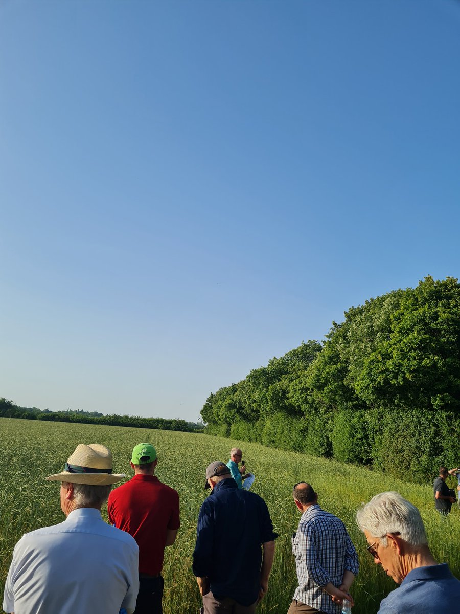 Fantastic talk from <a href="/hanslope/">John Pawsey 🌞</a> this evening for #suffolkfwag Farm walks.