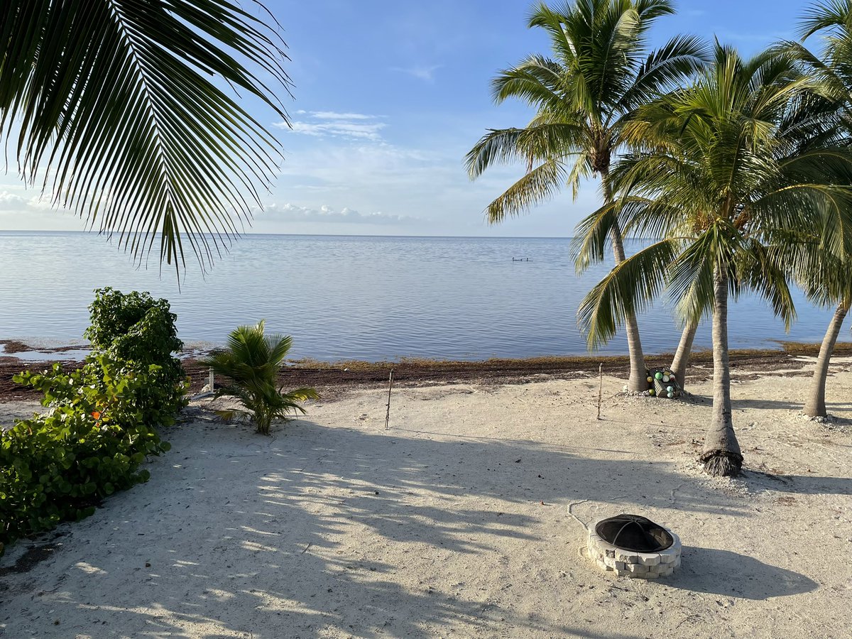 Scott Stevens, CAA tweet media