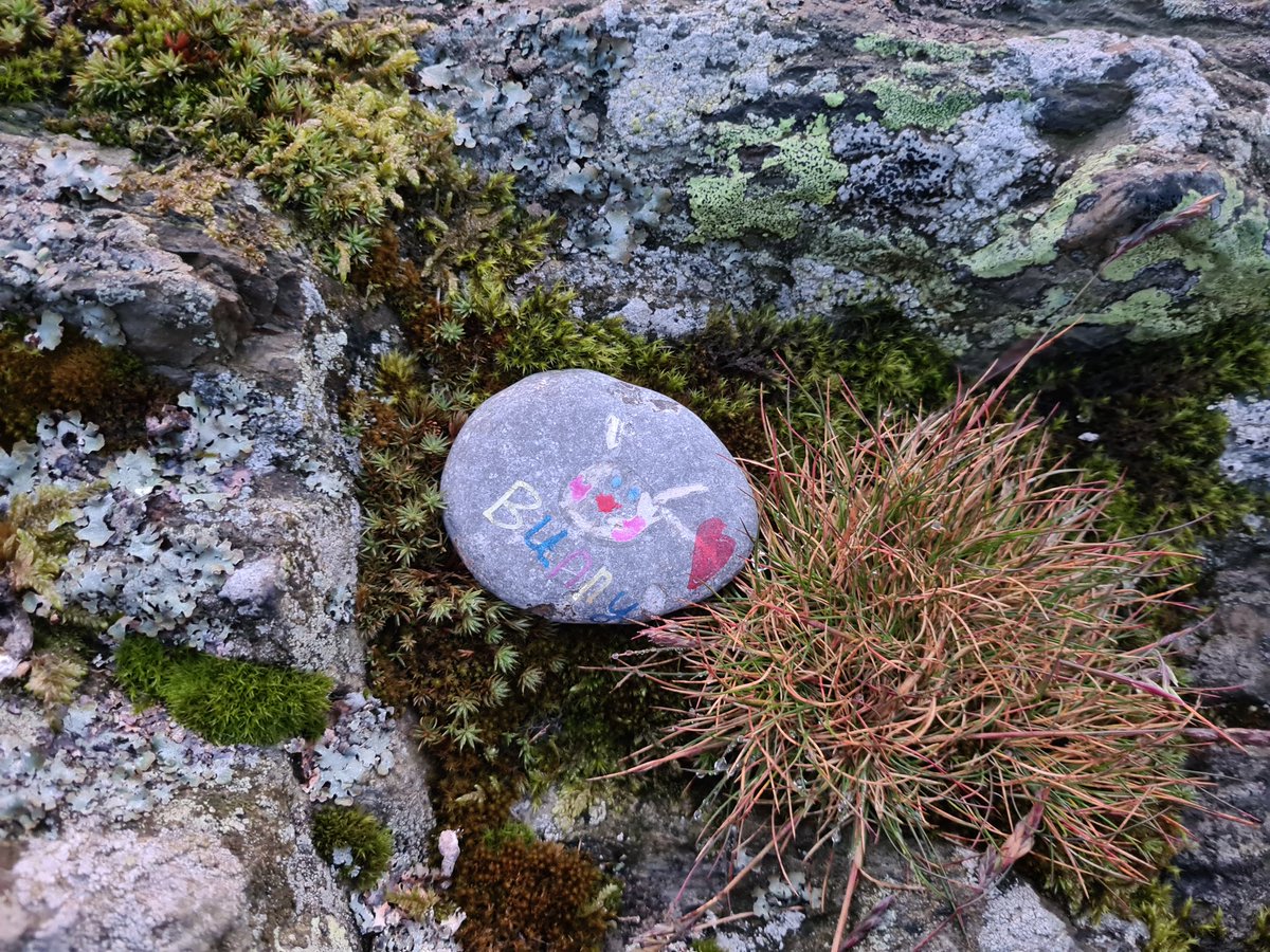 Camped at the summit of Lords Seat ready for <a href="/LightthelakesUK/">LightTheLakes</a> 2022. Lovely to find some #islastones  nearby