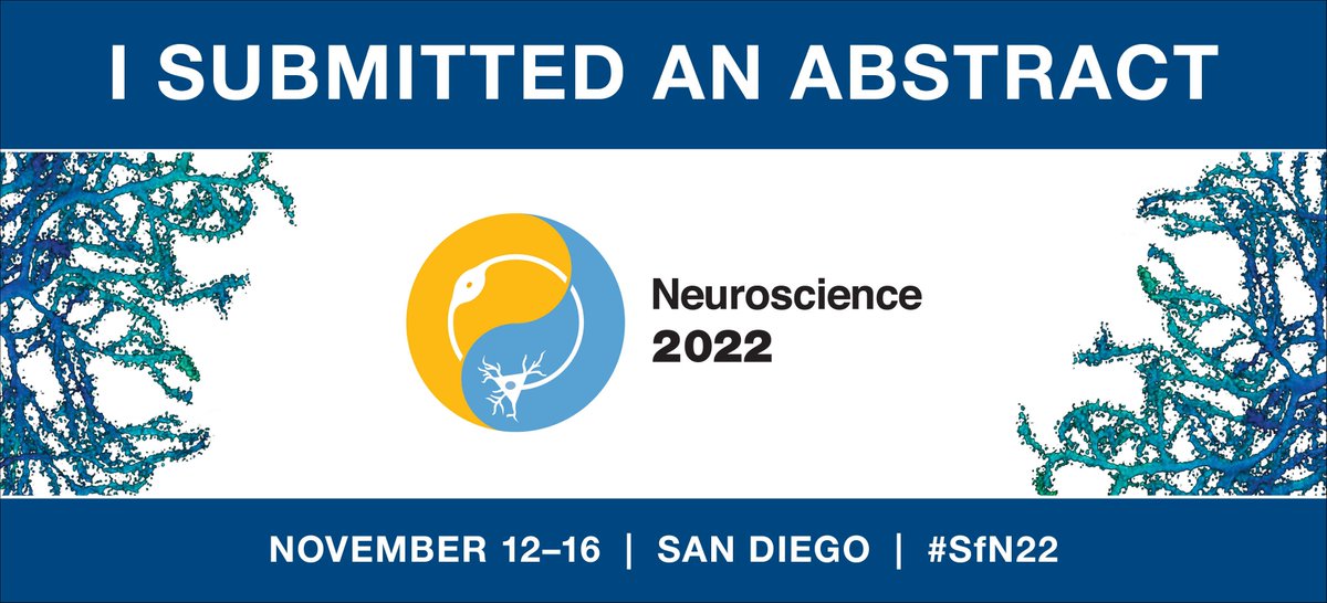 kepkeeloh's tweet photo. Excited to be going to #SfN22 to present the first results from my postdoc research @TheNeuro_MNI on sulcal-cytoarchitectonic relations in the human vs chimp medial frontal region! 
🔥🧠🏄 https://t.co/YZntiTLwmr