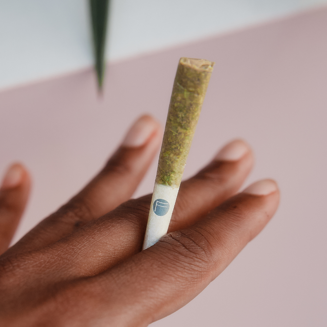 Our artisanal cannabis products gives you the world’s finest smoke 💨