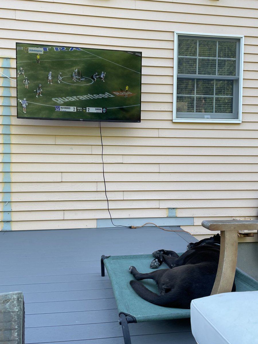 ayavarow's tweet photo. ⁦@PremierLacrosse⁩ watching her favorite team the ⁦@PLLWaterdogs⁩ https://t.co/RD5nuGNUBD