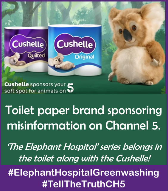StoneNannette's tweet photo. @essity were you aware that the #ElephantHospital would set out to greenwash Thailand’s abusive captive elephant industry when you agreed sponsorship? #ElephantHospitalGreenwashing #TellthetruthCH5 #Cushelle https://t.co/747dDkBRZr