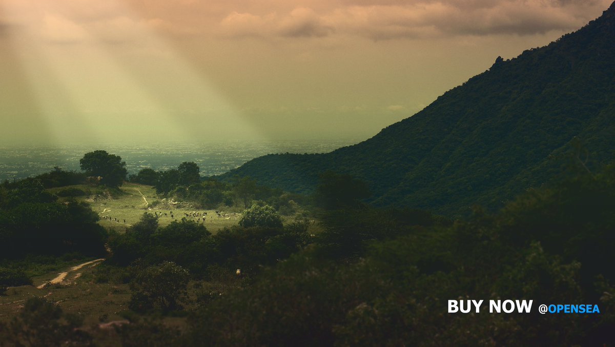 Collection:
“PLACE, SUBJECT, CAPTURE”
#Landscape #Nature 

1/1 Photography <a href="/opensea/">OpenSea</a> #PolygonNFT 

Title:“I am there to give light- SUN”

Price - 0.038 eth

#goats  #Rays #NFTCommunity #Mountain #Shepherd #jpg #nftcollectors #nftphoto #photography #nft 
🧵👇