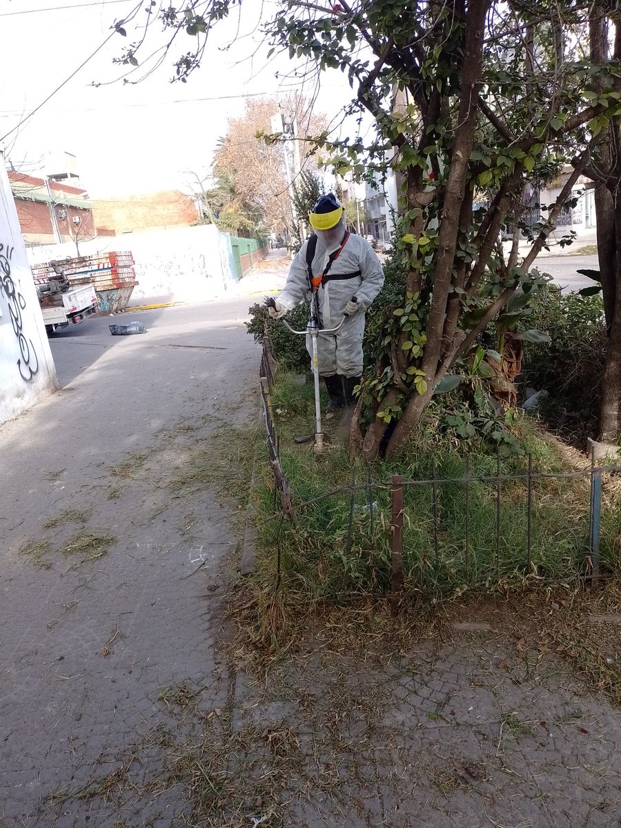 HectorN03153374's tweet photo. #EQUIPODGGIS
Hoy con la cuadrilla de #Saneamiento en #Barrio20 se realizó poda, corte de pasto, fumigación móvil, e Hidrolavado desinfeccion
@mrgospedini 
@Salas_Gabriel 
@MariaMigliore 
@gabimraida https://t.co/qrXEkBNH5U