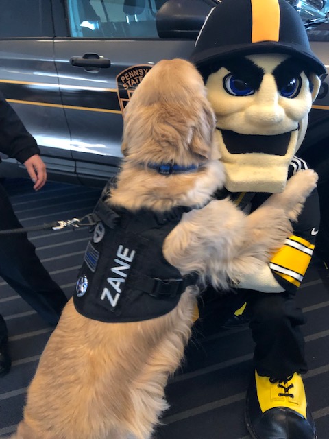OurFordStore's tweet photo. π€ππSendin' out a big hug to #steelymcbeam on #NationalMascotDay @steelers @Thurbyjr @vdstaff58 https://t.co/fOn62EaIRI