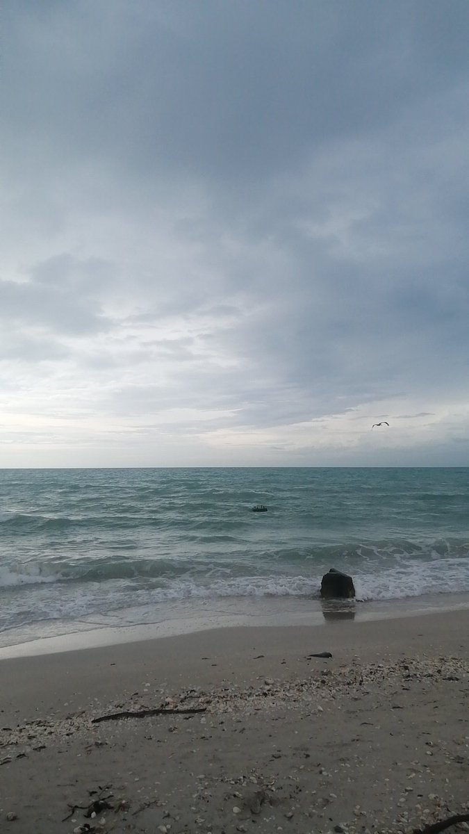 SoytuExBitch's tweet photo. Vive debajo de los rayos del sol, y  del aire del mar nada es salvaje. https://t.co/kB2UwPS5iH