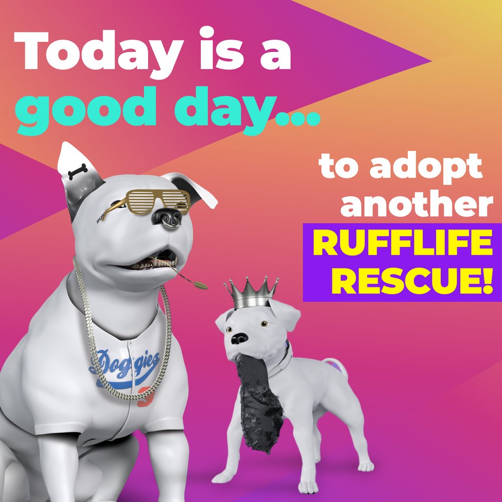 RuffLife Rescues. tweet media