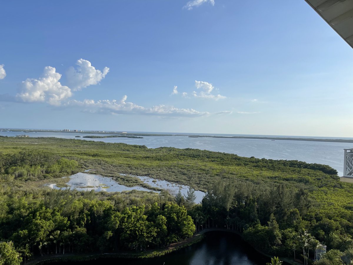 troyjwhite's tweet photo. Vaca time! #estero #hyatt https://t.co/dwZaksEMai