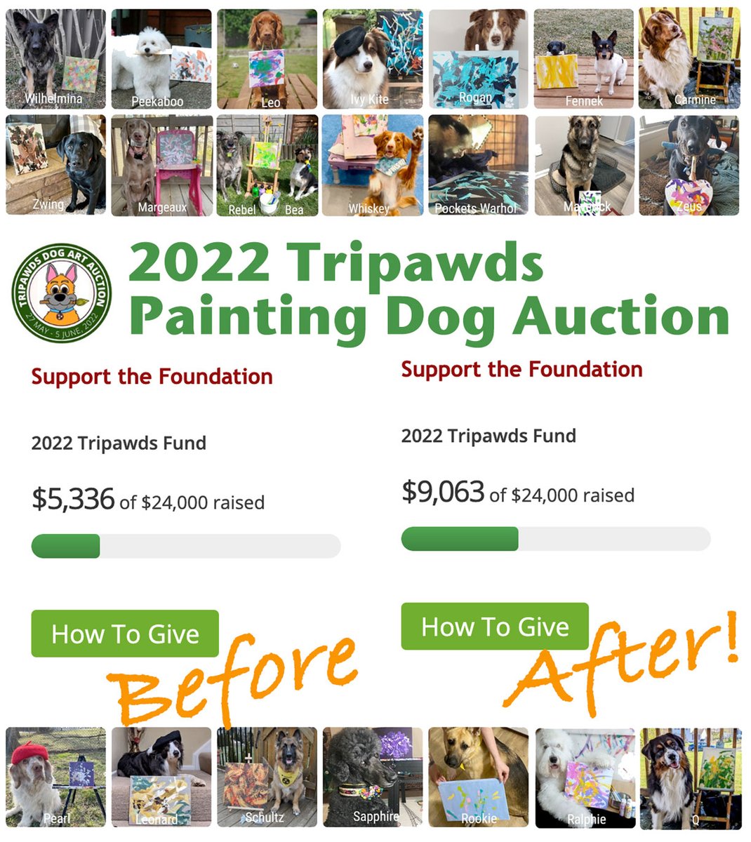Tripawds's tweet photo. Thank You! Thank You! Thank You!
👍
Did you see the results from the recent #Tripawds Painting Dogs Auction? See the paintings, watch the dogs in action, and get the results!
🤗
#Tripawd #TripawdsCommunity #Threeleggedpets #HelpTripawds
https://t.co/bz4ilSHpUQ https://t.co/miZD7OnaXu