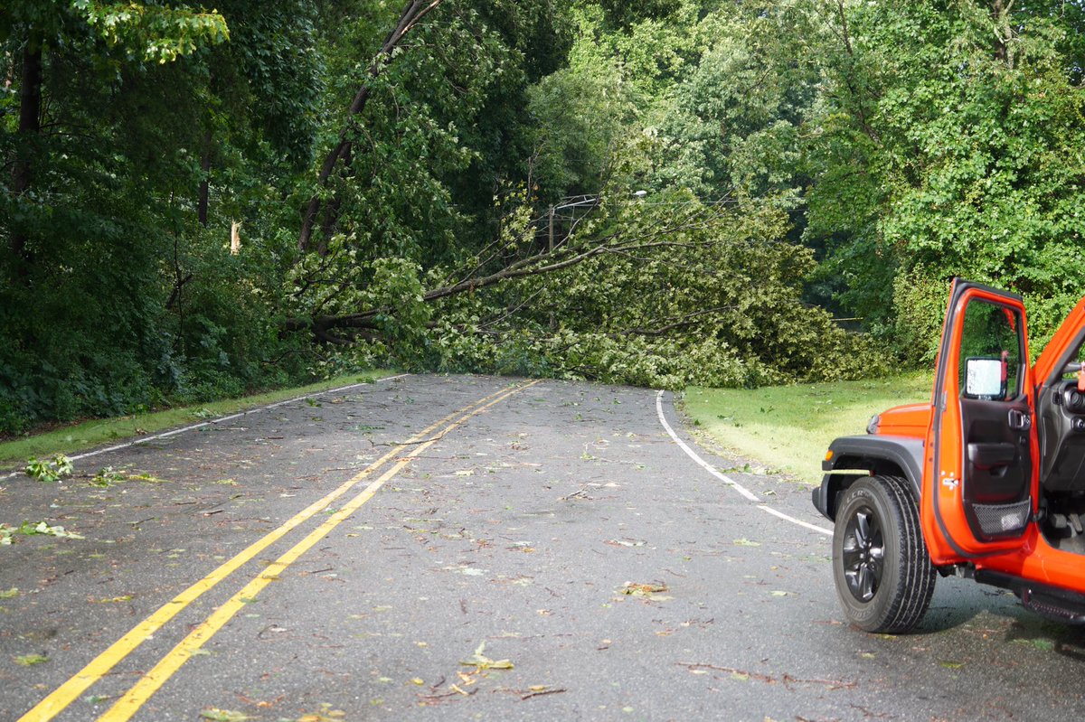 trynsumthin's tweet photo. Storm damage in and around Bessemer City today #wbtv3 https://t.co/mhrP9gA6cU