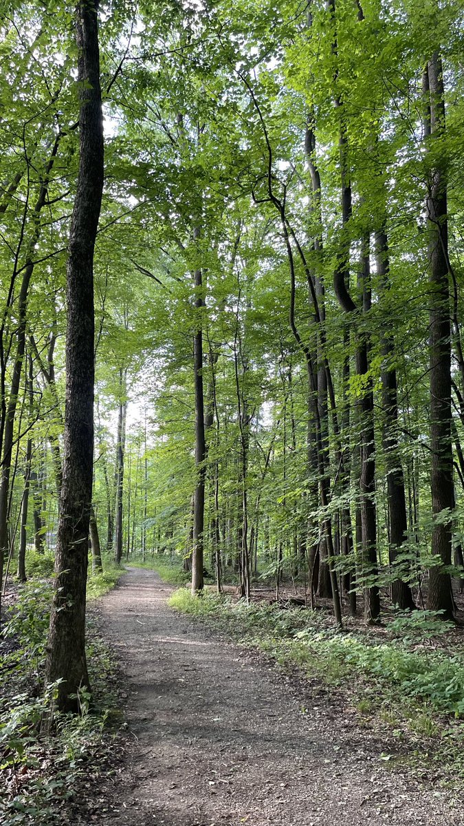 AjmaniK's tweet photo. I didn’t walk that far, and yet I seem to have traveled a great distance 🙏🏽😌🐸
#walking140 https://t.co/SzTy7NPlMi