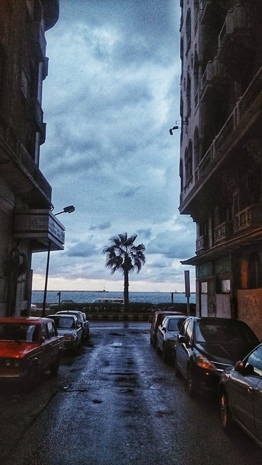 Alexandria_egy1's tweet photo. انك تتمشي لوحدك في صباح يوم شتوي مثلا 💙 https://t.co/DkVP2p15kR