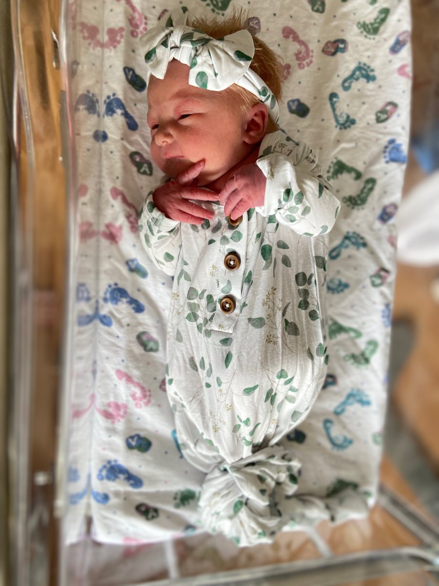 Jenni Gritters | Biz Coach & Strategist tweet media