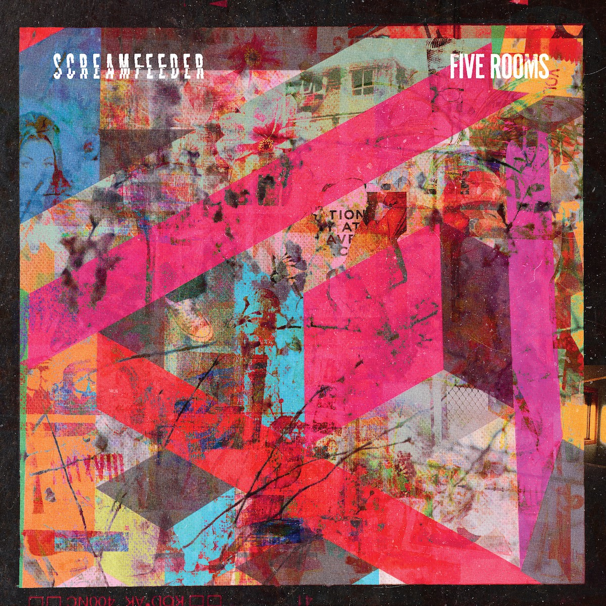 BernardZuel's tweet photo. Saturday read #2. One band that doesn't have to resurrect the sounds of '90s indie pop is @_screamfeeder_ who have consistently shown form in this area for * checks notes* 30 years! A new album, good songs etc.
https://t.co/fiYnGTpeTP https://t.co/OiGVvp3hwA