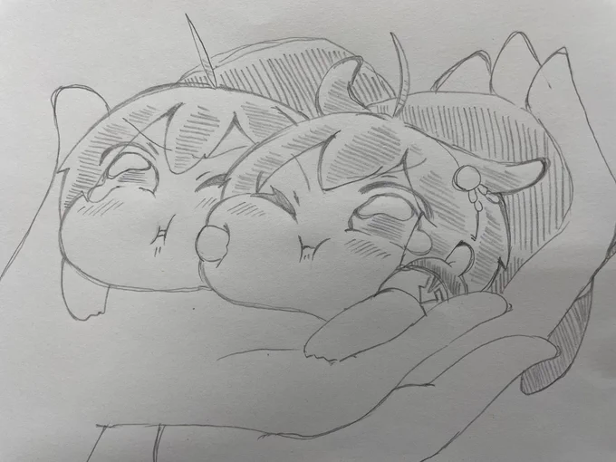 手乗りもちもち 