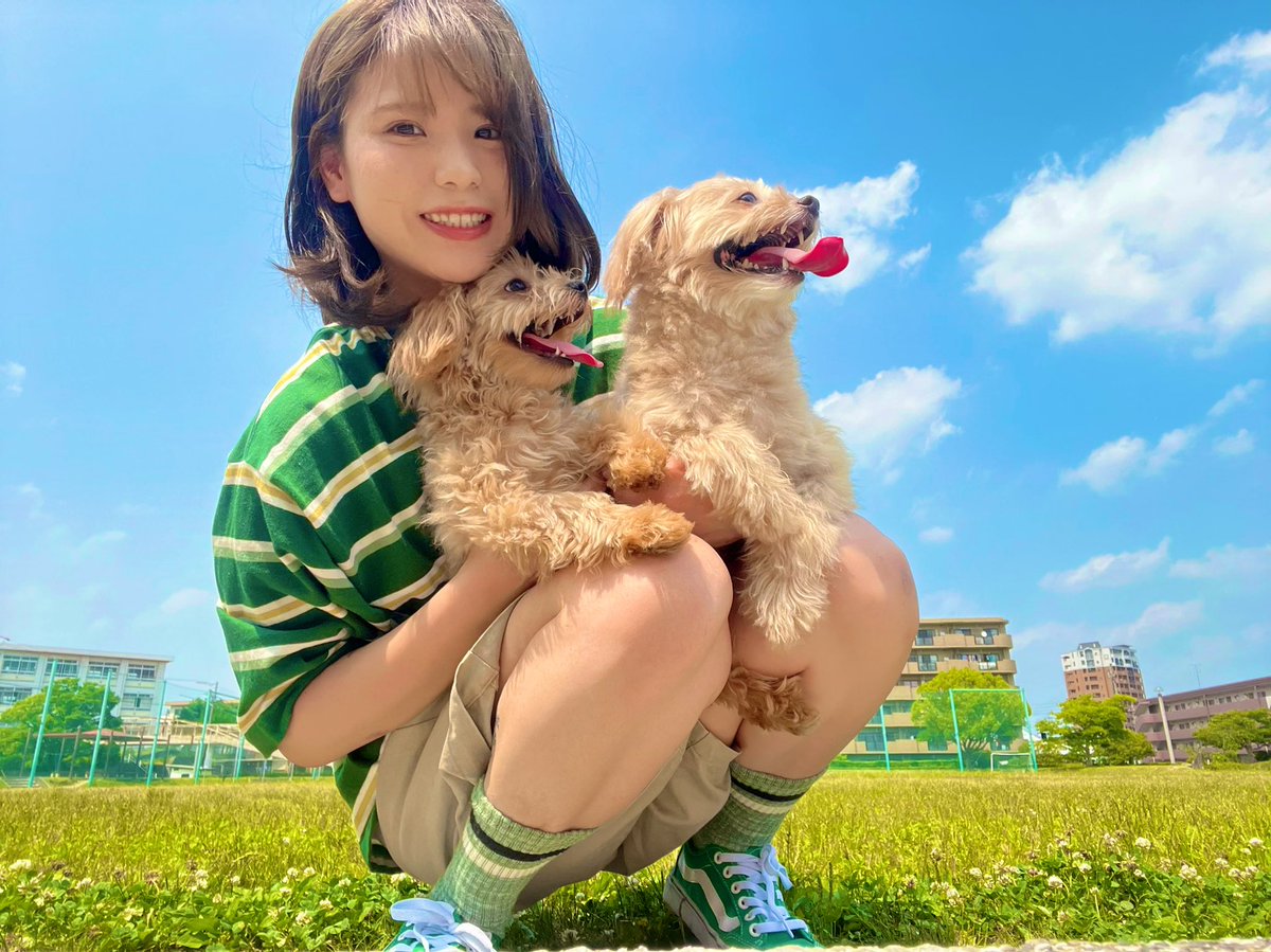 rinpppii's tweet photo. 家族増えるって幸せ🐶❤️ https://t.co/6A40U2qVU3