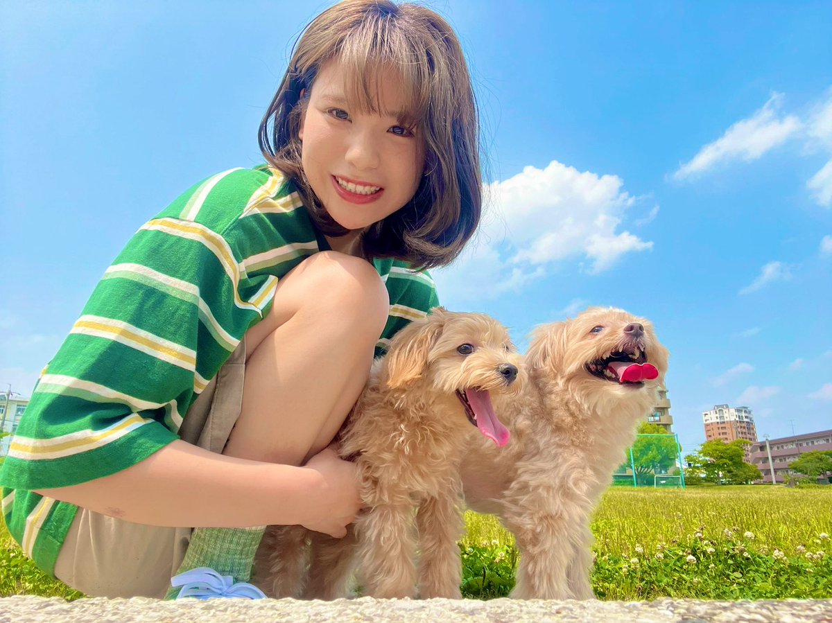 rinpppii's tweet photo. 家族増えるって幸せ🐶❤️ https://t.co/6A40U2qVU3