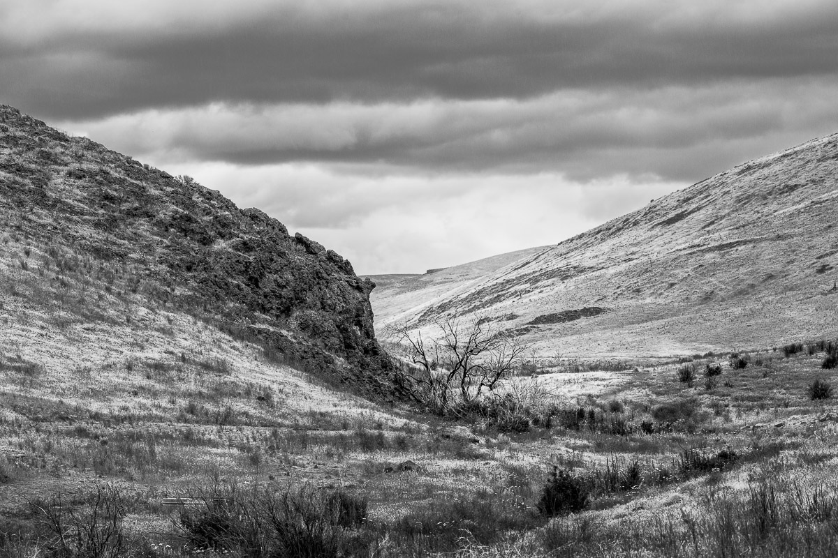 SteveBisig's tweet photo. Spring, Rocky Coulee, Washington 📷 https://t.co/N7Ec624Dus

#cascadiaexplored #pnwoutsiders #wonderfulwestcoast #pnwartist #pnwshooters #pnwescapes #sonorthwest #PNWdiscovered #theNWadventure #upperleftcoast #pnwcrew #collectivelynorthwest #washingtonexplored https://t.co/GycaTCcAZC