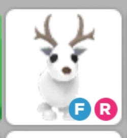 silkymon's tweet photo. TRADING FR ARCTIC REINDEER FOR MM2 STUFF OR ROBUX!

#adoptme #am #adoptmetrades #amtrades #adoptmetrading #amtrading #adoptmepets #ampets #amtrade #mm2 #mm2trades #mm2trading  #mm2trade #rh #royalehigh #rhtrading #rhtrades https://t.co/cPLki13AmP
