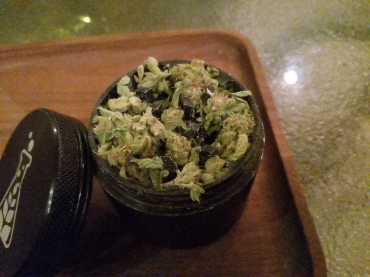 CannaMindSee420's tweet photo. Ah FINALLY home and ready for a proper nightcap... who's with me?
Strawberry Haze/SourGarlicCookies!
#MidNightDelight
@jen_wrightcr
@vizurantvis
@Hippie_of_Love
@smokeydawg27
@SeanKessler17
@420Patriotof757
@MrPeeps7
@HelenStoner4l4
@moneygo8tee
@Sweet_Mornings https://t.co/as3UoLbAEk