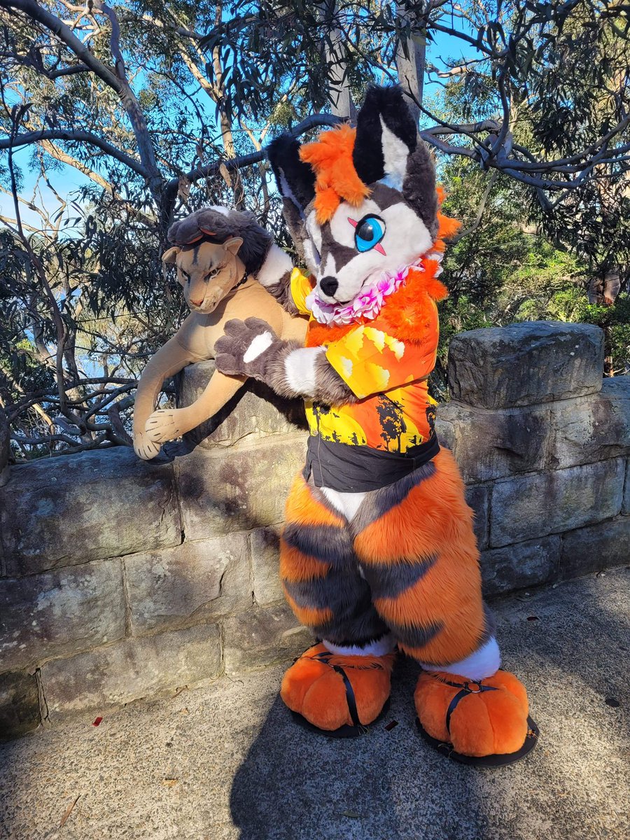 Garou found a lion while out with friends!
#furry #fursuit