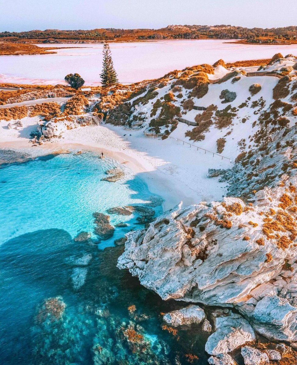 MaximusCampers's tweet photo. The #bluewaters, #whitesands and #pinklakes
of #LittleParakeetBay, #RottnestIsland.
Captured by @jamesvodicka
#perthisok https://t.co/IQvI8mOtdE