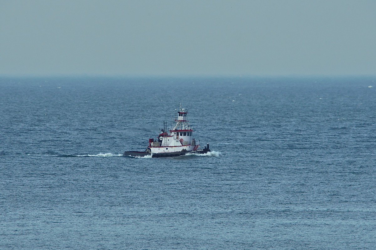 johnmorgan726's tweet photo. The LAYLA RENEE, MMSI:367430840 en route to Rudee Inlet, Virginia, flying the flag of the United States 🇺🇸. #LaylaRenee #TugBoat #ShipsInPics https://t.co/fqWEKGFCCL