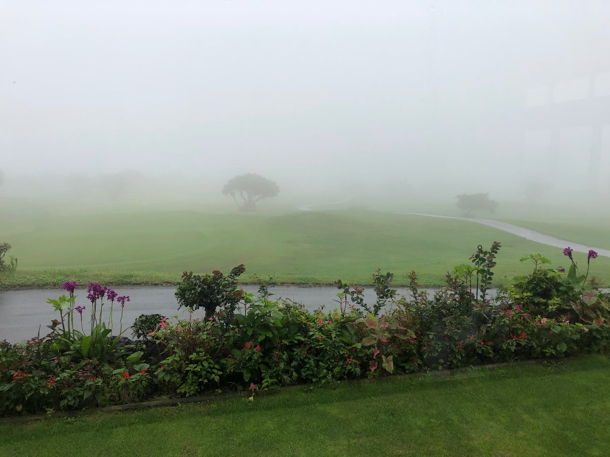 MCサーディ　MC3rdi/シールドルーム shieldroom tweet media