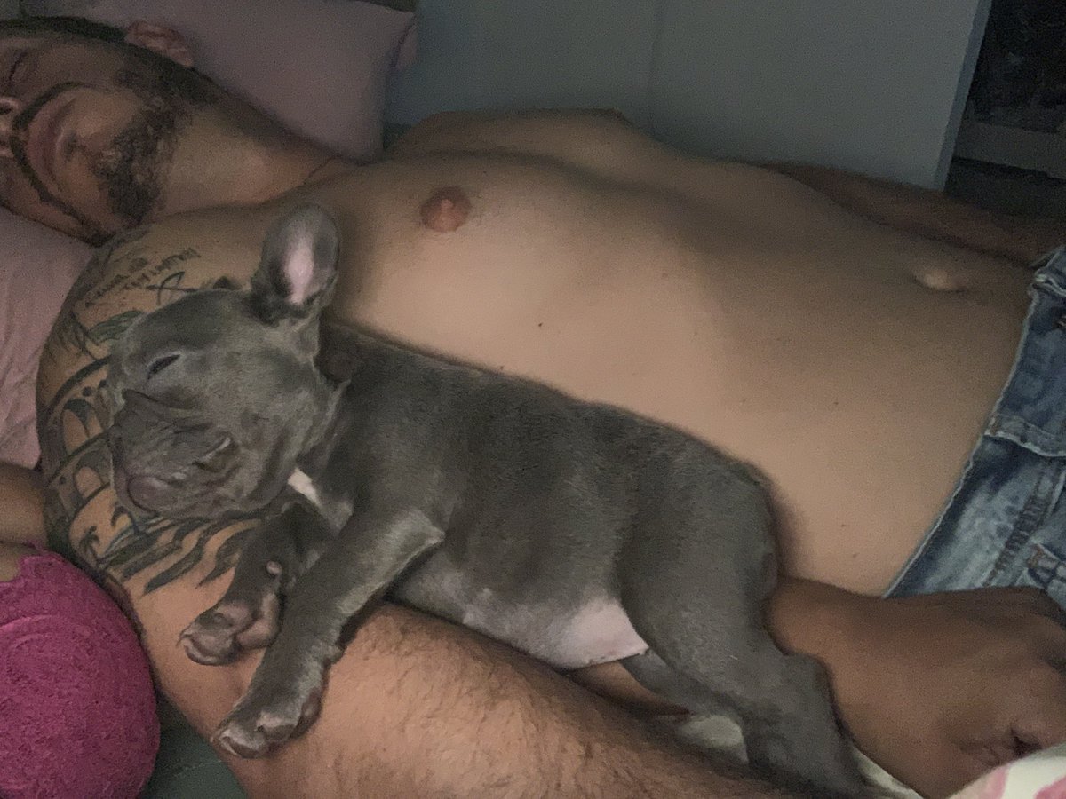 Resendenaval's tweet photo. Sextou com meu BB!!!🙏🏻❤️ https://t.co/Y3OQ9uu6LA